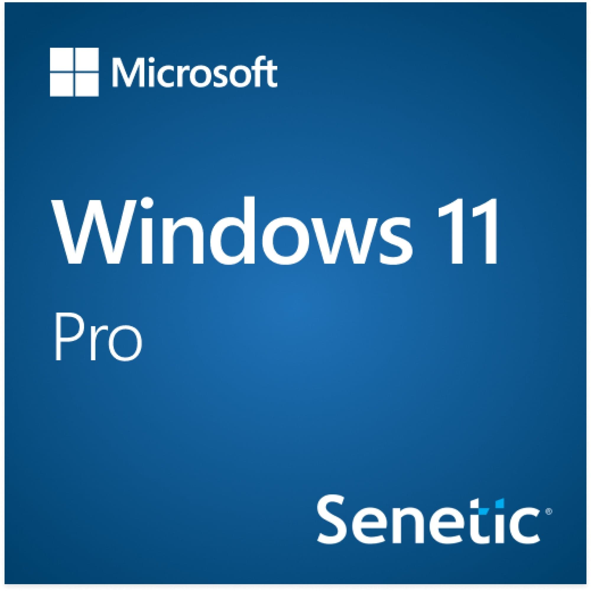Windows 11 Pro 64Bit Eng Intl 1pk DSP OEI DVD FQC-10528