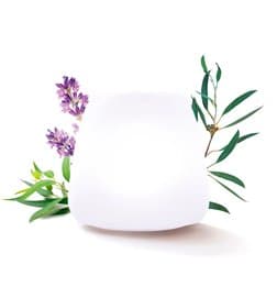 Pranarôm Joy Essential Oil Diffuser Premium Edition 1 Unit
