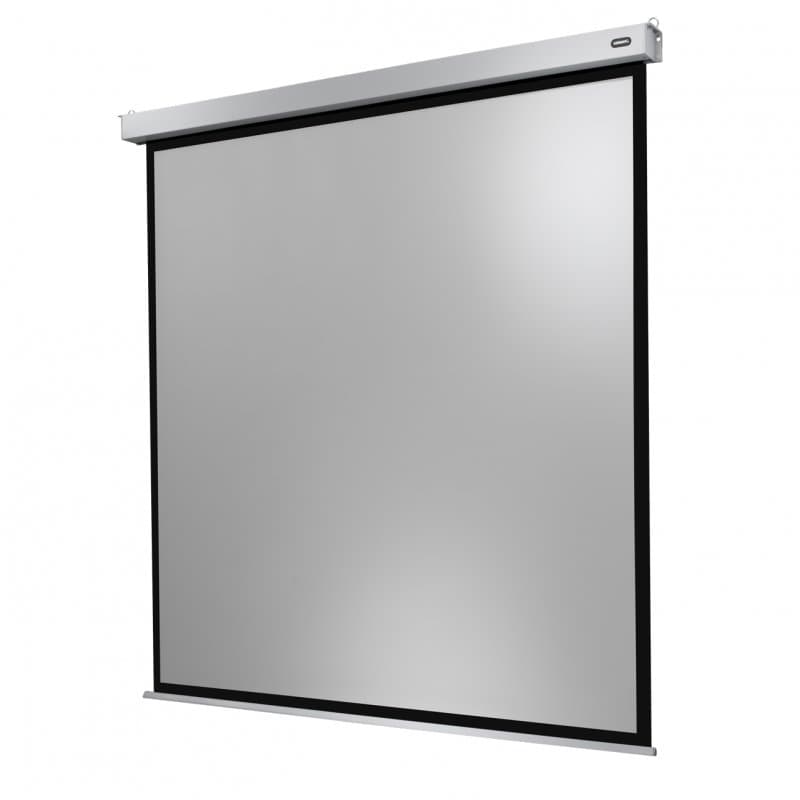 Celexon Electric Professional Plus Pantalla de Proyección Eléctrica 300x300 cm