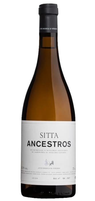Attis Sitta Ancestros