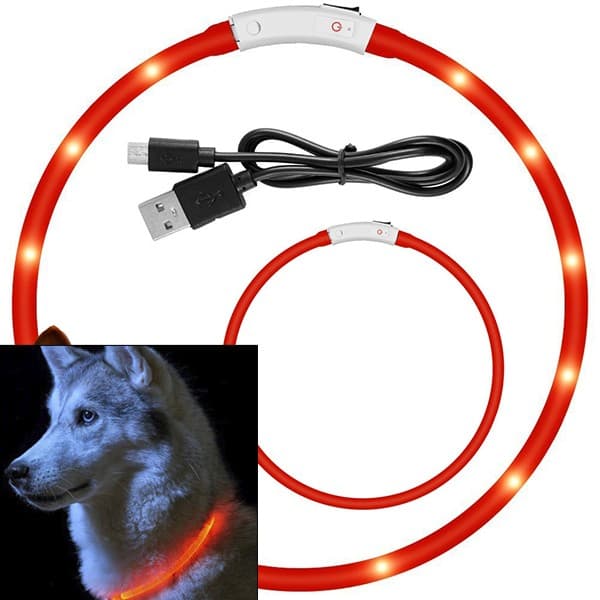 COLLAR PERROS Y GATOS CON ILUMINACION LED