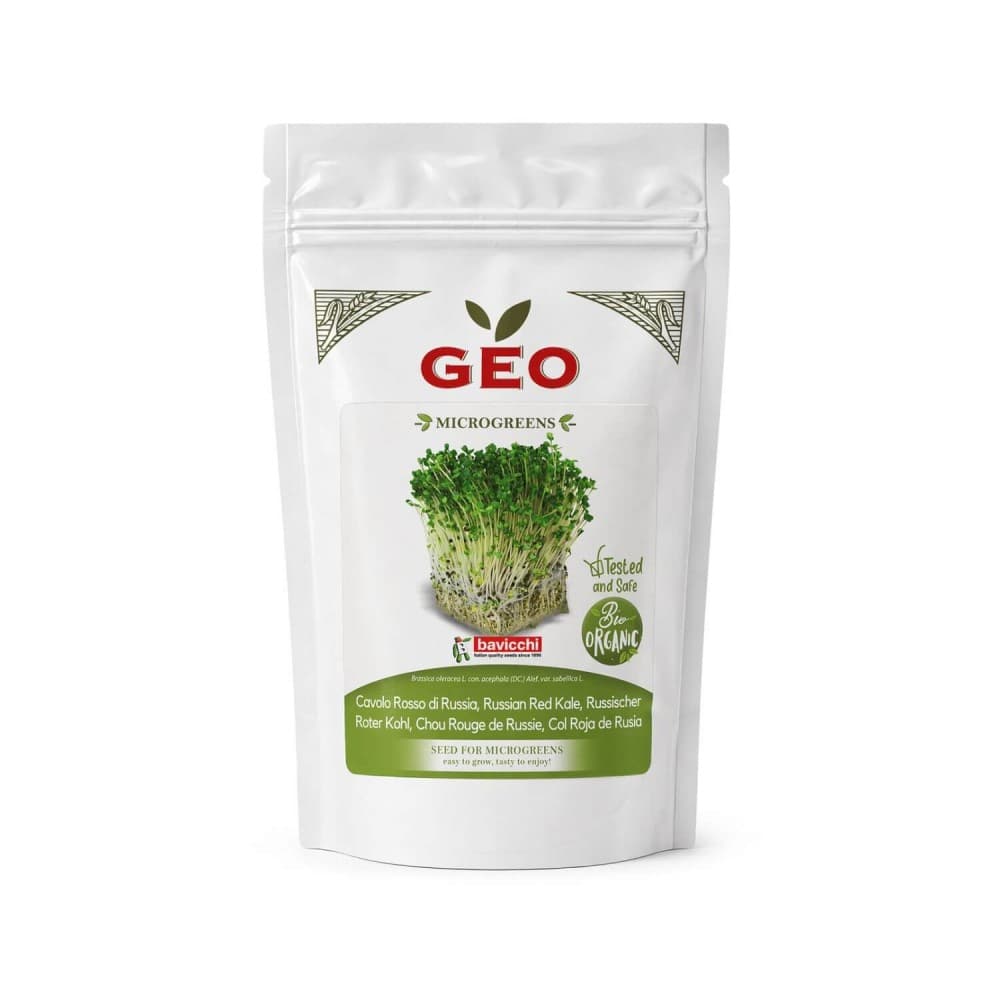 Semillas de col rizada roja de Rusia para microgreens ecológicas, 300 g - Bavicchi GEO