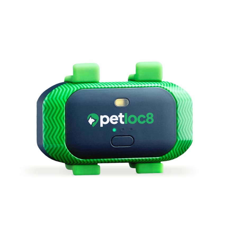 Trackimo Localizador GPS Petloc8 4G para perros y gatos