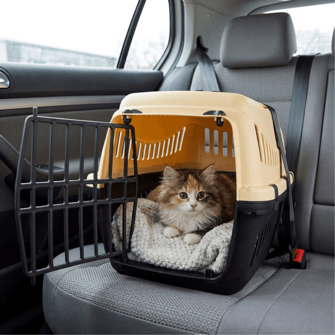 TK-Pet Senda Gipsy Transportín Amarillo para perros y gatos