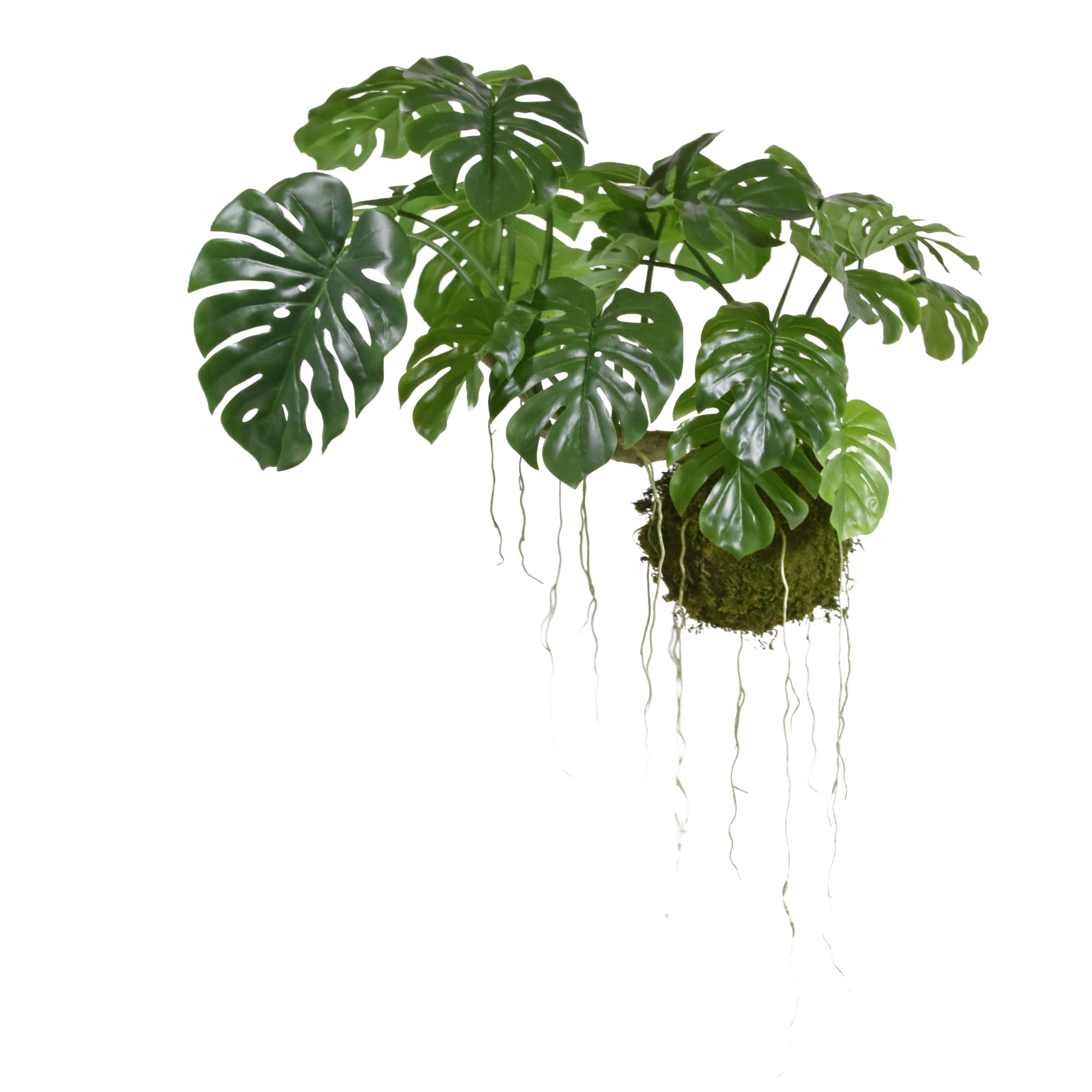 Colgante de arte Monstera M en bola de musgo