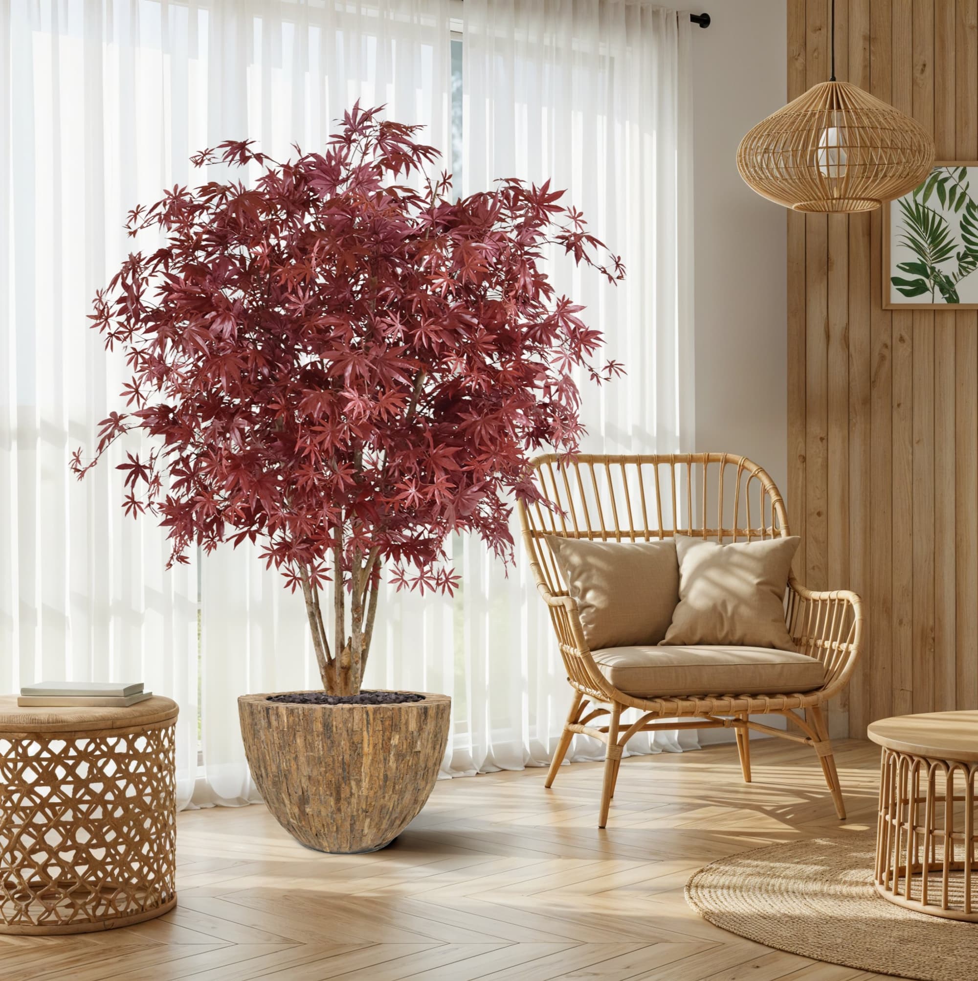 Acer Arce deluxe 165 cm burdeos