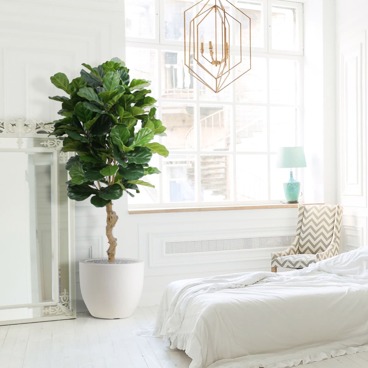 Planta artificial Lyrata deluxe 155cm